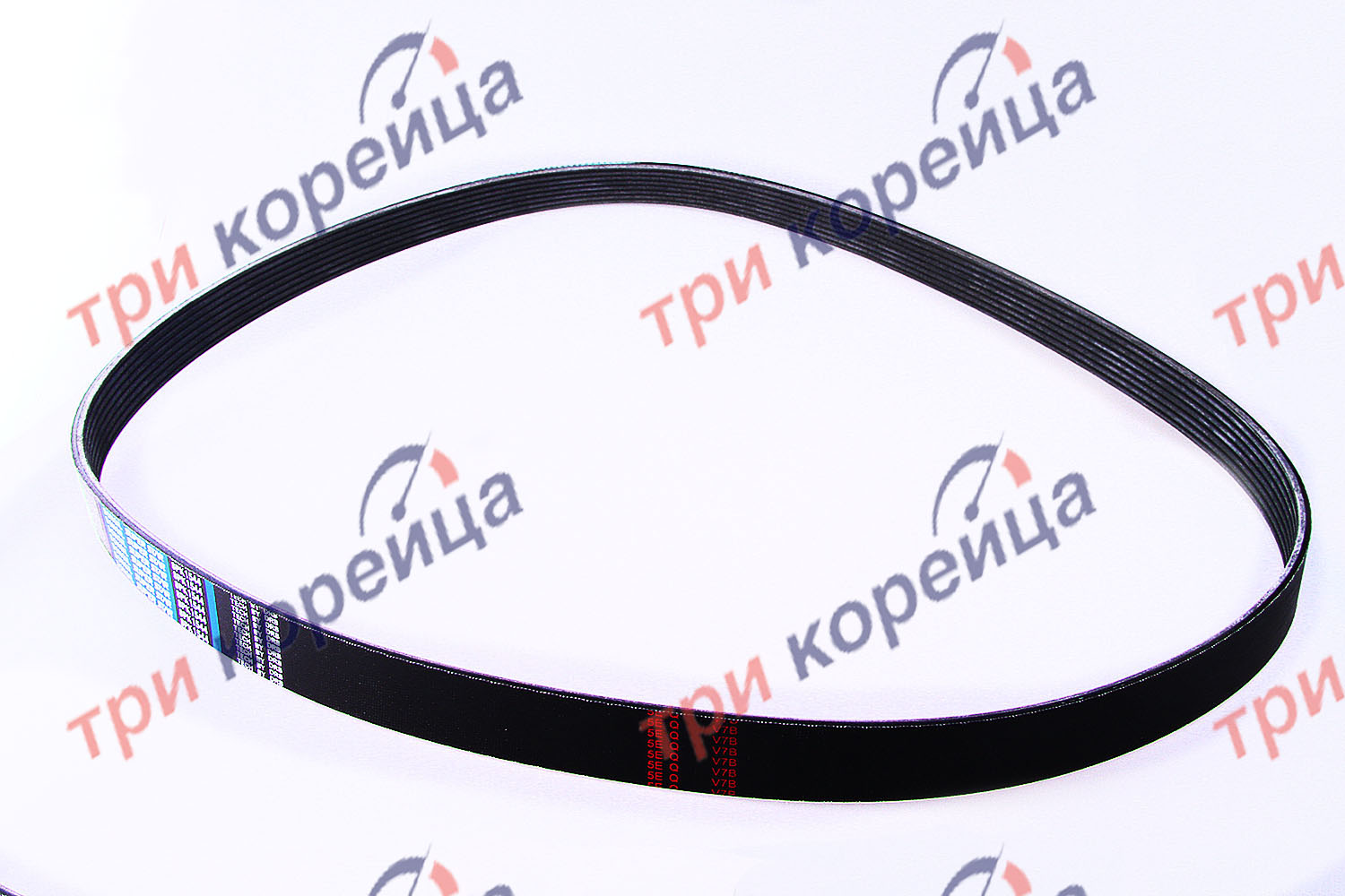 Ремень приводной D6GA Hyundai HD120 HD160 HD170 Dongil Корея 8PK1544. Фото №1 в каталоге ТРИКОР.