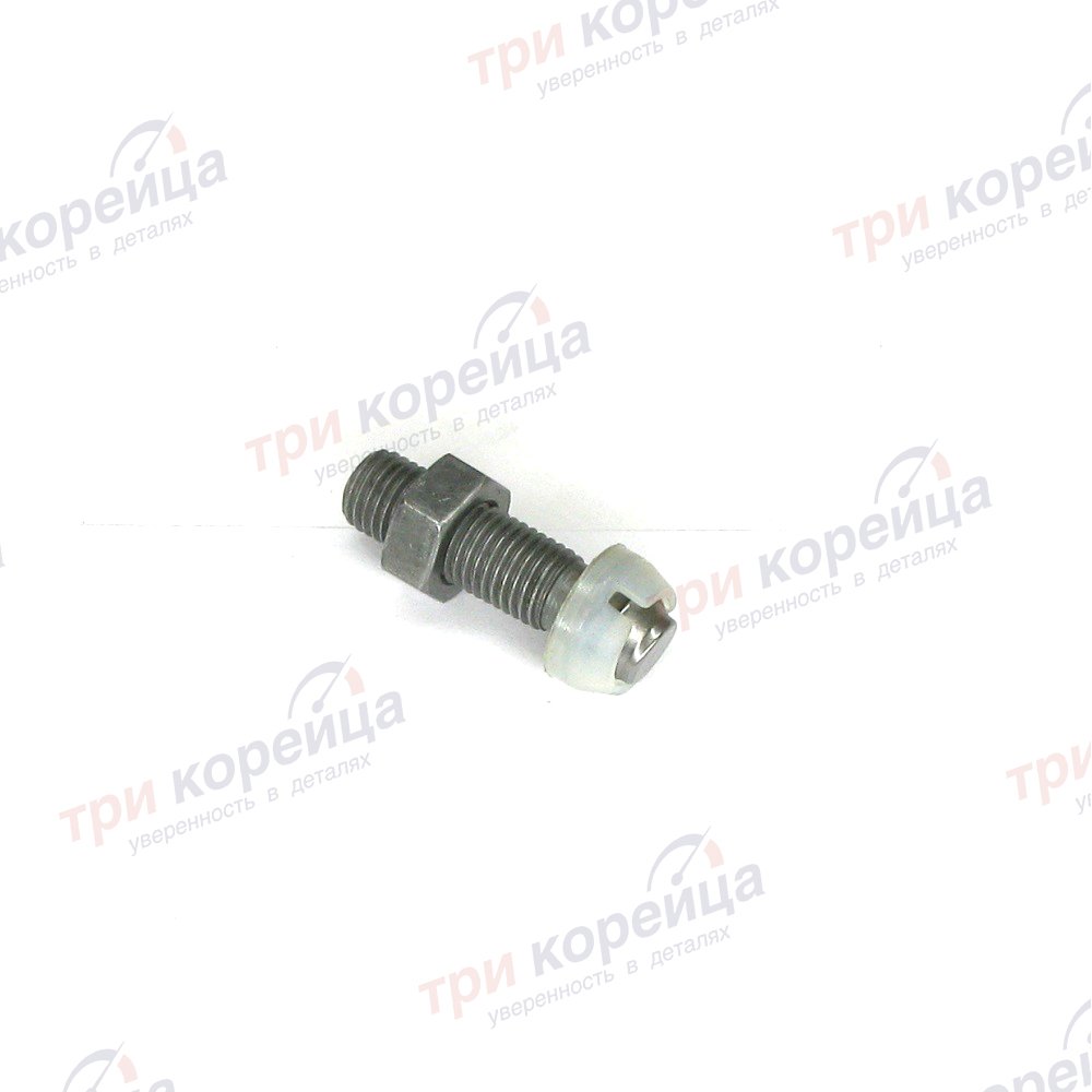 Болт коромысла регулировочный D4BF Porter (со шляпкой) Porter. Артикул 2453242500. Производитель Zetra Корея. Изображение №1