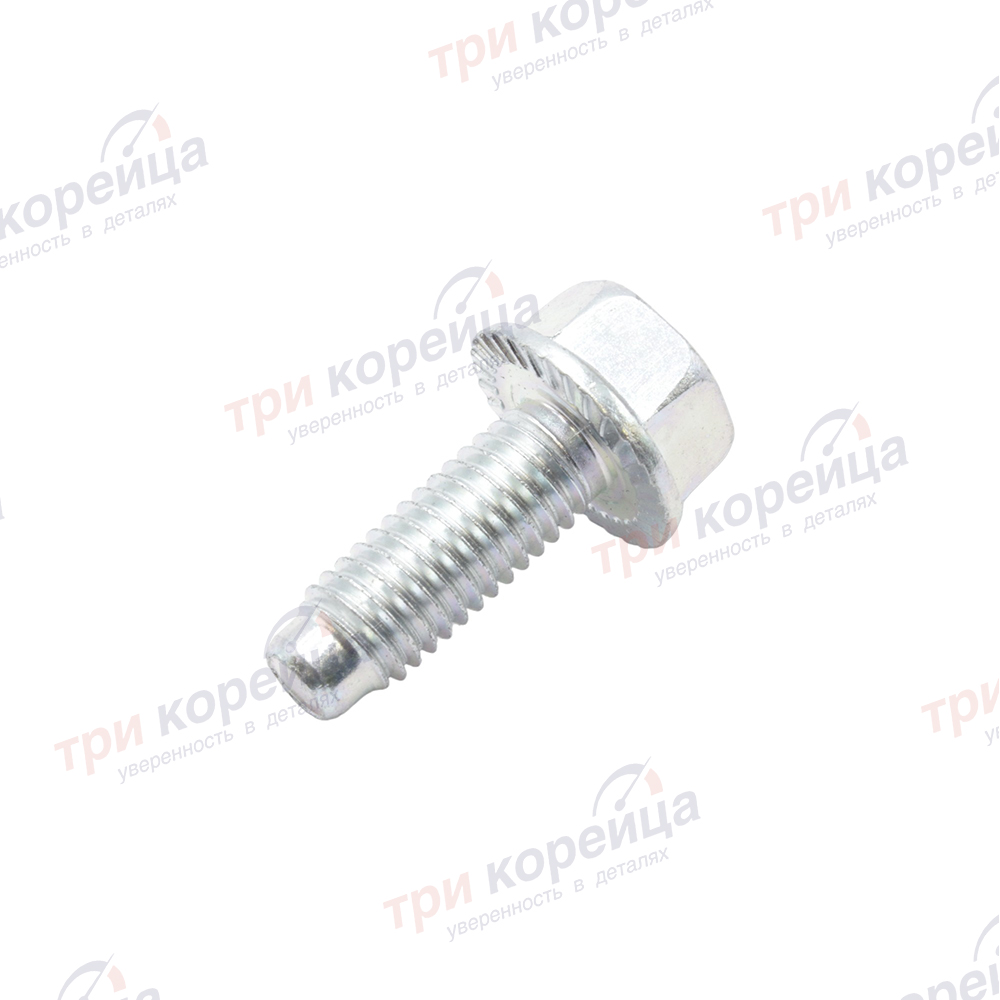 Болт M8 крепления двери Grand_Starex HD! # Оригинал 7935921000. Фото №1 в каталоге ТРИКОР.