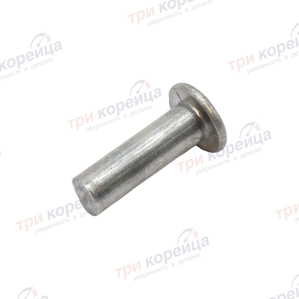 Заклепка тормозных колодок 6х20 (комплект 64шт) Hyundai HD65 HD72 HD78 HD120 HD160 HD170 HD250 HD260 HD270 Технопром Россия №32 (202442 альянс). Фото №1 в каталоге ТРИКОР.